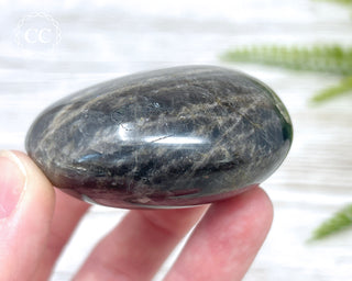 Black Moonstone Chunky Palm Stone #2