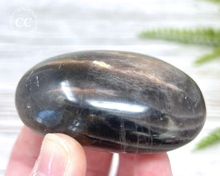 Black Moonstone Chunky Palm Stone #1