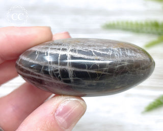 Black Moonstone Chunky Palm Stone #1