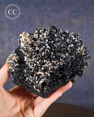 A hand holding a large Black Tourmaline specimen from Namibia