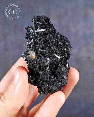 Black Tourmaline Cluster - Namibia #5