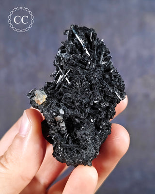 Black Tourmaline Cluster Namibia in hand