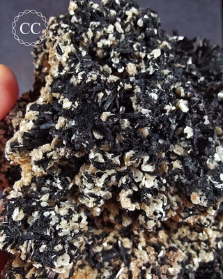 Black Tourmaline Cluster - Namibia #2