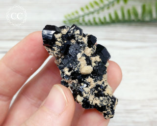 Black Tourmaline Cluster - Erongo #1