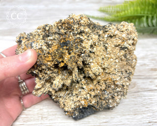 Black Tourmaline Cluster - Namibia #2