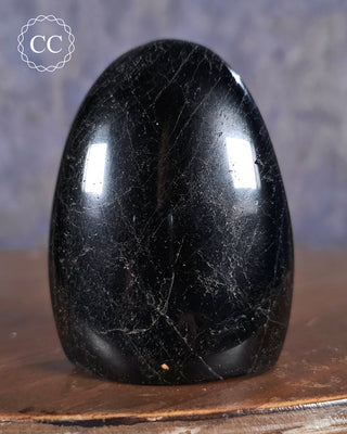 Black Tourmaline Freeform #3