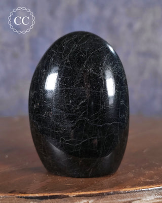Black Tourmaline Freeform #2