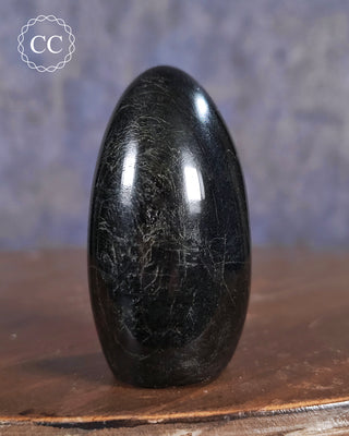Black Tourmaline Freeform #2