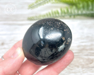 Black Tourmaline Chunky Palm Stone #1