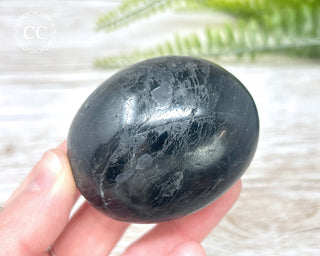 Black Tourmaline Chunky Palm Stone #3