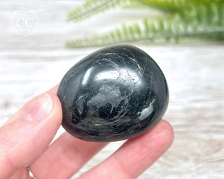 Black Tourmaline Chunky Palm Stone #4