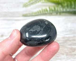 Black Tourmaline Chunky Palm Stone #4