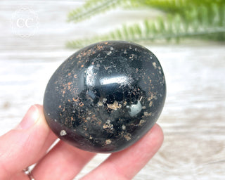 Black Tourmaline Chunky Palm Stone #1