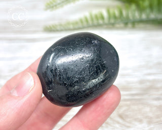 Black Tourmaline Chunky Palm Stone #5