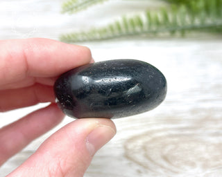 Black Tourmaline Chunky Palm Stone #5