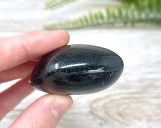 Black Tourmaline Chunky Palm Stone #6