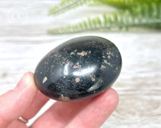 Black Tourmaline Chunky Palm Stone #1