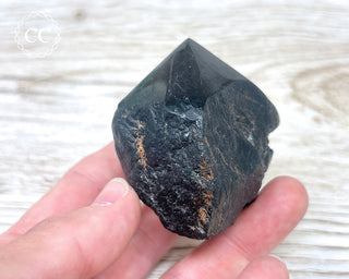 Black Tourmaline Polished Point #2