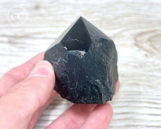 Black Tourmaline Polished Point #1