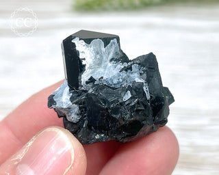 Black Tourmaline Crystal - Namibia #1