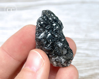 Black Tourmaline and Quartz Specimen #5