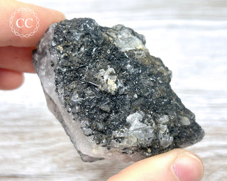 Black Tourmaline and Quartz Specimen #15