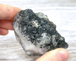 Black Tourmaline and Quartz Specimen #15