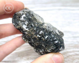 Black Tourmaline and Quartz Specimen #15