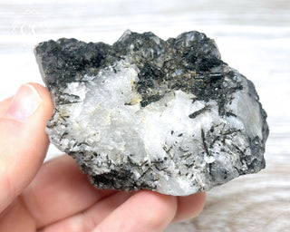 Black Tourmaline and Quartz Specimen #15