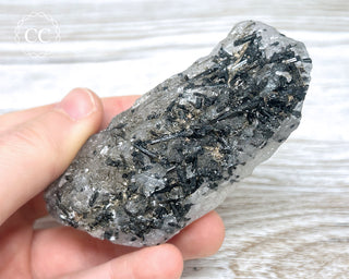 Black Tourmaline and Quartz Specimen #17