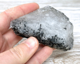 Black Tourmaline and Quartz Specimen #17