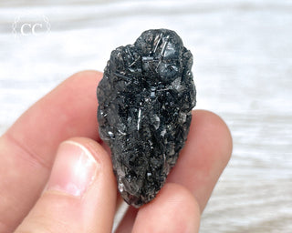 Black Tourmaline and Quartz Specimen #5