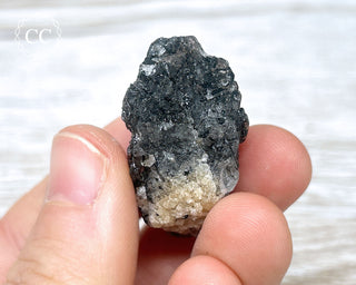 Black Tourmaline and Quartz Specimen #5