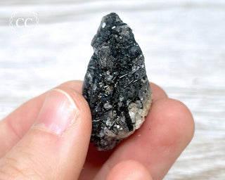 Black Tourmaline and Quartz Specimen #5