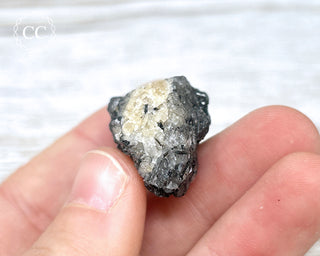 Black Tourmaline and Quartz Specimen #5