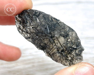 Black Tourmaline and Quartz Specimen #6