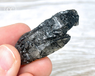 Black Tourmaline and Quartz Specimen #6