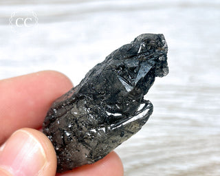 Black Tourmaline and Quartz Specimen #6