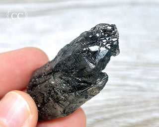 Black Tourmaline and Quartz Specimen #6