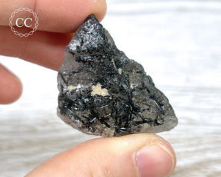 Black Tourmaline and Quartz Specimen #9