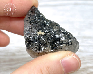 Black Tourmaline and Quartz Specimen #9