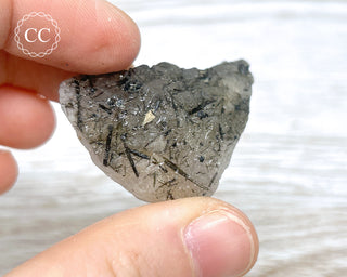 Black Tourmaline and Quartz Specimen #9