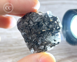 Black Tourmaline and Quartz Specimen #10