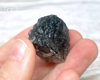 Black Tourmaline and Quartz Specimen #4