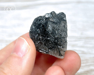 Black Tourmaline and Quartz Specimen #4