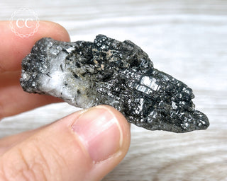 Black Tourmaline and Quartz Specimen #12