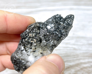 Black Tourmaline and Quartz Specimen #12