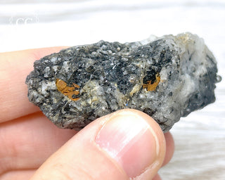 Black Tourmaline and Quartz Specimen #12