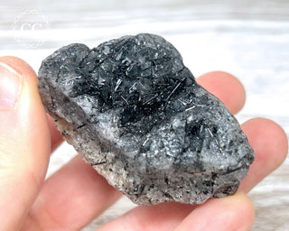 Black Tourmaline and Quartz Specimen #13