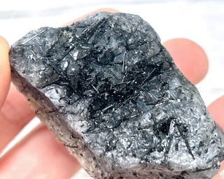 Black Tourmaline and Quartz Specimen #13